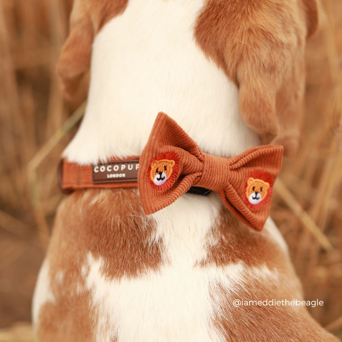Leo the Lion COLLAR