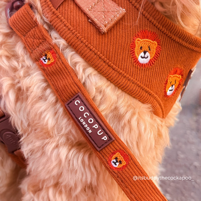Leo the Lion Lead