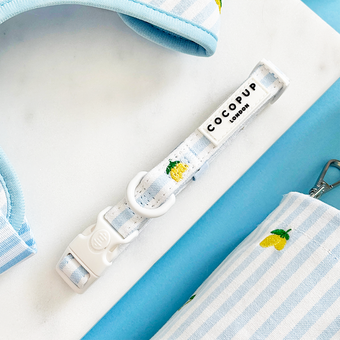 Yellow lemon-print dog collar, harness and lead set with silver hardware by Cocopup London.