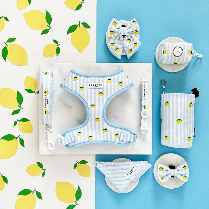 Yellow and white dog harness, lead, and collar set with a lively lemon pattern.
