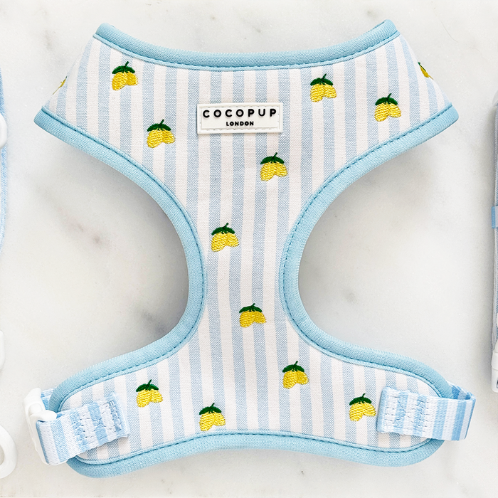 Cocopup London harness with light blue and white stripes, lemon print, and adjustable neck.