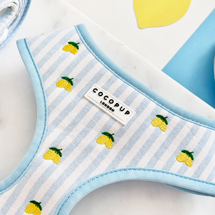 Living La Vida Lemon adjustable neck harness by Cocopup London, featuring blue stripes, displayed on a marble surface.