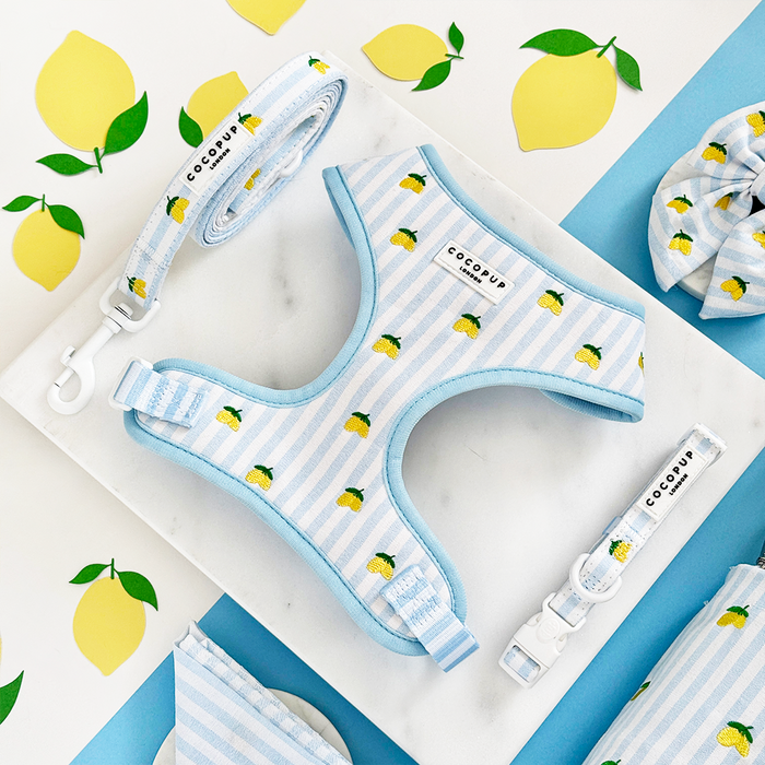 Blue striped dog harness with yellow lemon print, displayed alongside decorative paper lemons.