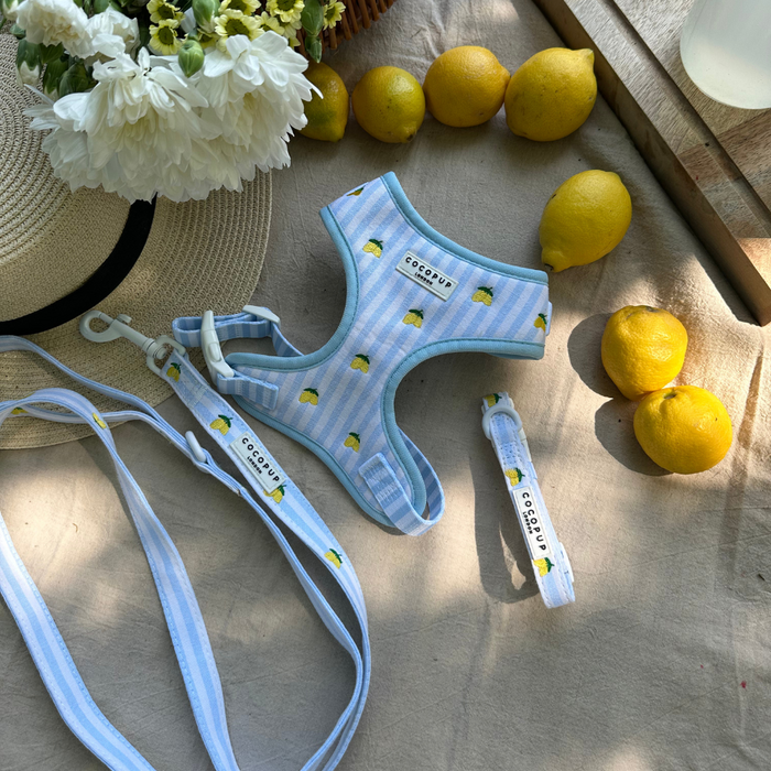 Cocopup London harness, lead and collar set with blue and white stripes on beige fabric.