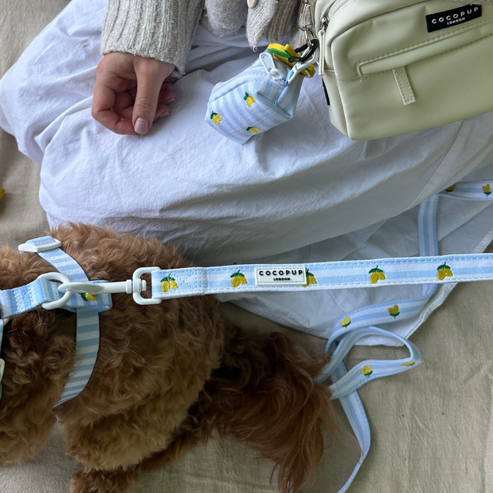 Woman with small brown dog on a yellow lemon-print leash, seated beside a cream-colored bag.