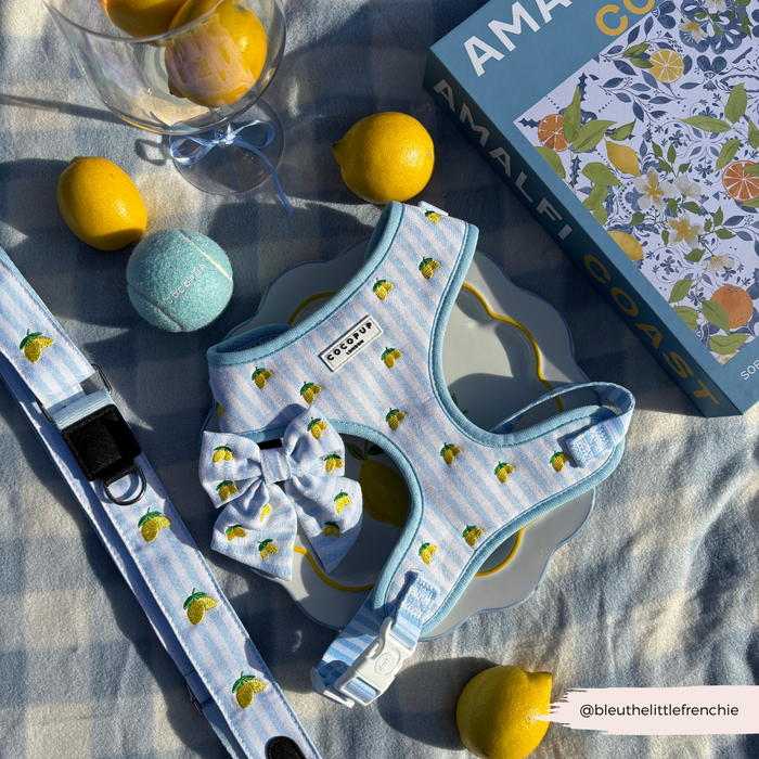 Cocopup London bag strap with lemon pattern and blue dog accessories on a blue-striped blanket.