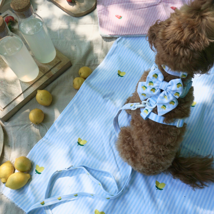 Fluffy brown dog wears a yellow Lemon Sailor Bow Tie and sits on a matching blanket outdoors.