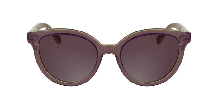 #colour_glitter-purple-brown
