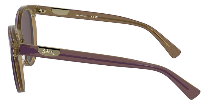 #colour_glitter-purple-brown