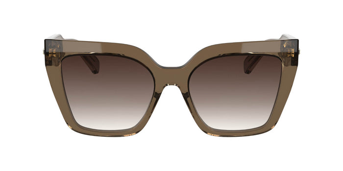 #colour_transparent-nude-brown