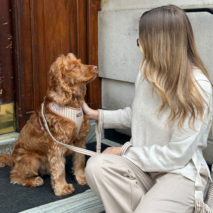 Woman in beige pets a fluffy dog in a chestnut striped harness with a matching linen-striped lead.