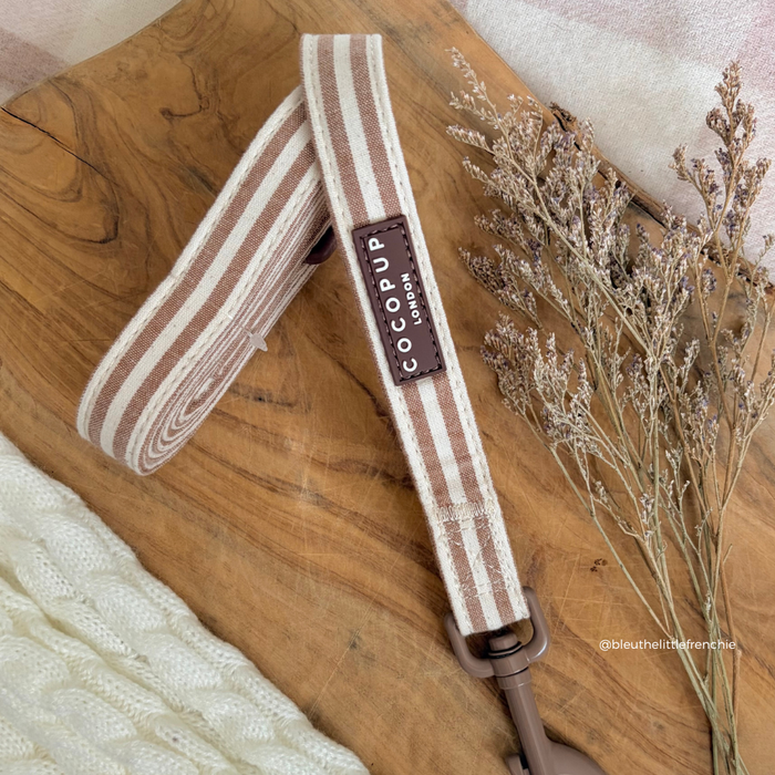 Beige and chestnut brown striped linen dog lead by Cocopup London, displayed on wood with dried flowers.