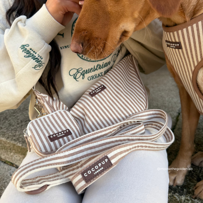 Person in a cream sweater and brown dog with Cocopup London Crescent Treat Pouch, featuring beige and white linen stripes.