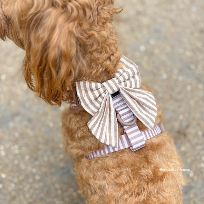 Curly-haired dog wearing a Cocopup London striped bow tie outdoors.