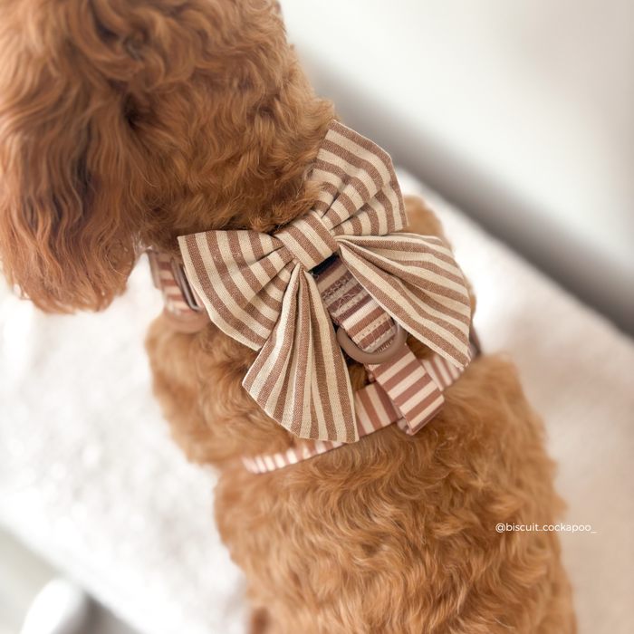 Brown dog wearing a striped linen sailor bow tie by Cocopup London, sitting on a light surface.