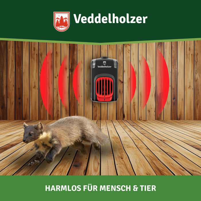 Marder flüchtet über Holzdielen, an der Bretterwand sendet das Gerät rot dargestellte Schallwellen aus