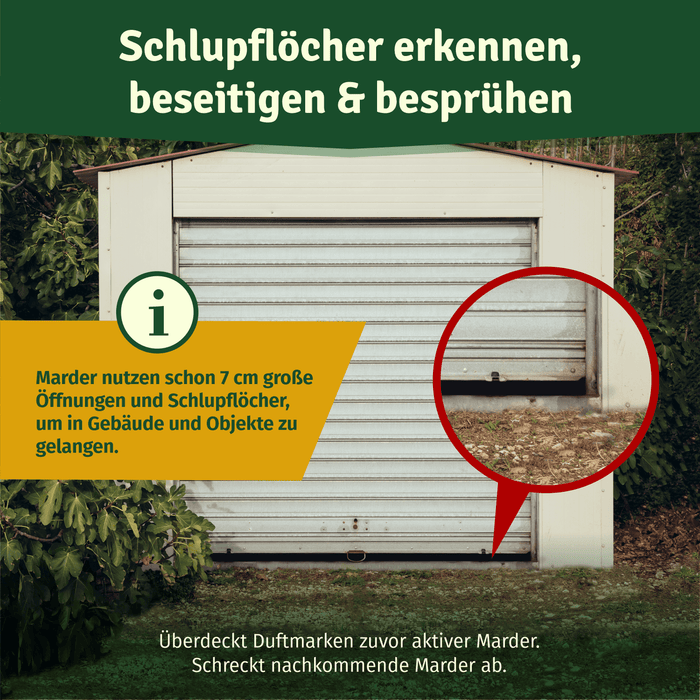 Garagentor mit vergrößertem Spalt am Boden – schon 7 cm große Öffnungen reichen dem Marder als Schlupfloch