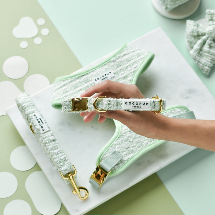 A hand holds a green textured tweed dog collar, with matching leash and harness on a white tray.