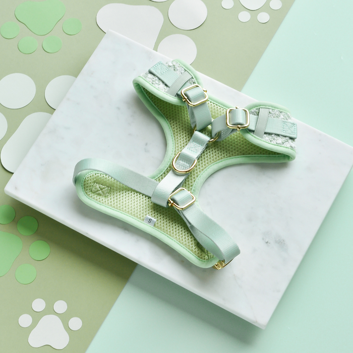Green textured tweed dog harness with adjustable neck and gold buckles from Cocopup London.
