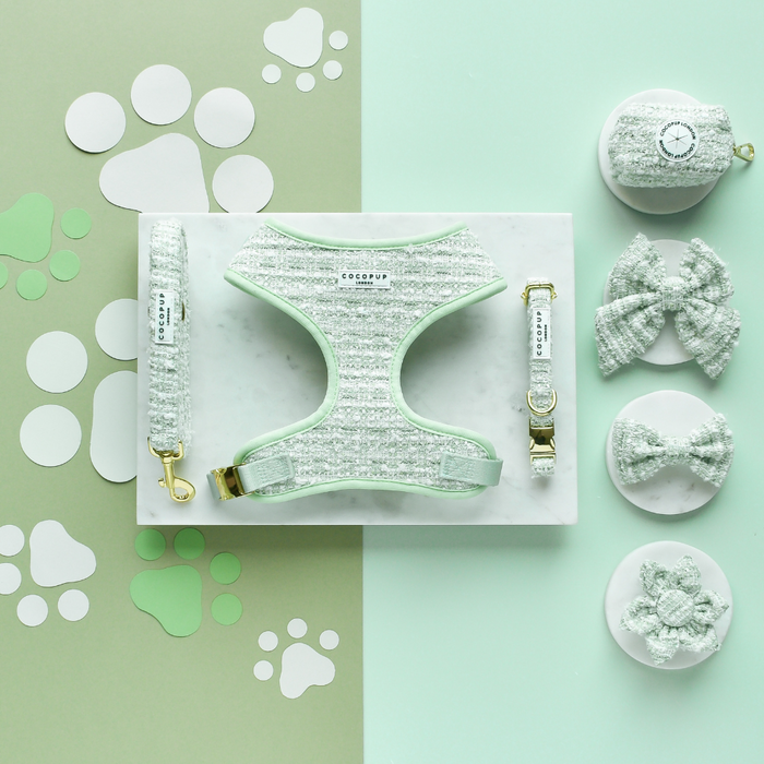 Matcha green textured tweed dog lead on a dual-tone background with paw print accents.