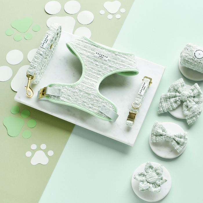 Adjustable mint green tweed dog collar with a textured finish and polished hardware.