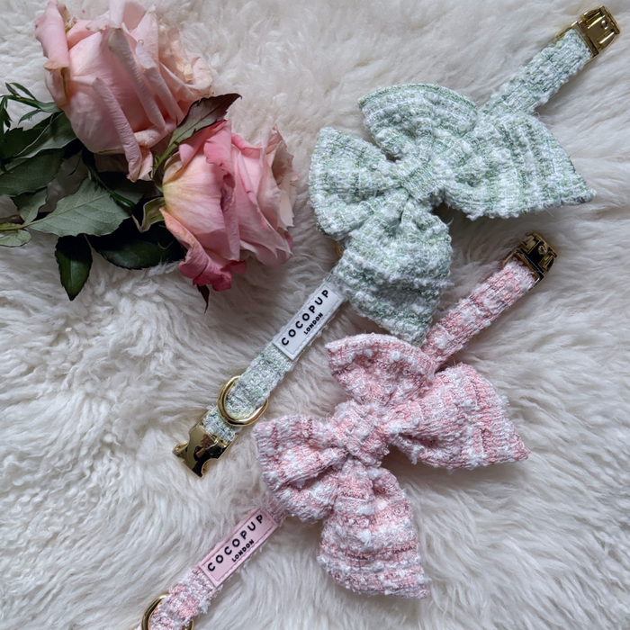 Two green textured tweed dog collars with large bows, next to pink roses on a fluffy white background.