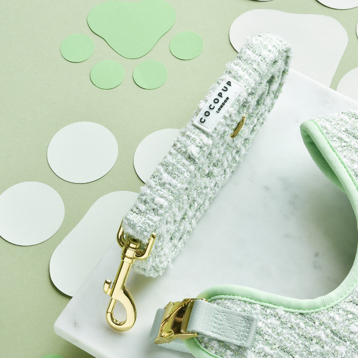 Mint green textured tweed dog leash with gold hardware, designed for small dogs.