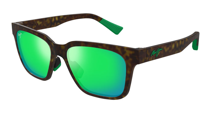 #colour_havana-green-polarised