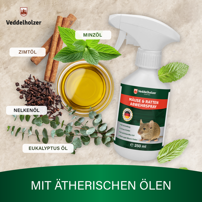 Sprühflasche zwischen Zimtstangen, Minzblättern, Nelken, Eukalyptuszweig und einer Schale mit goldgelbem Öl
