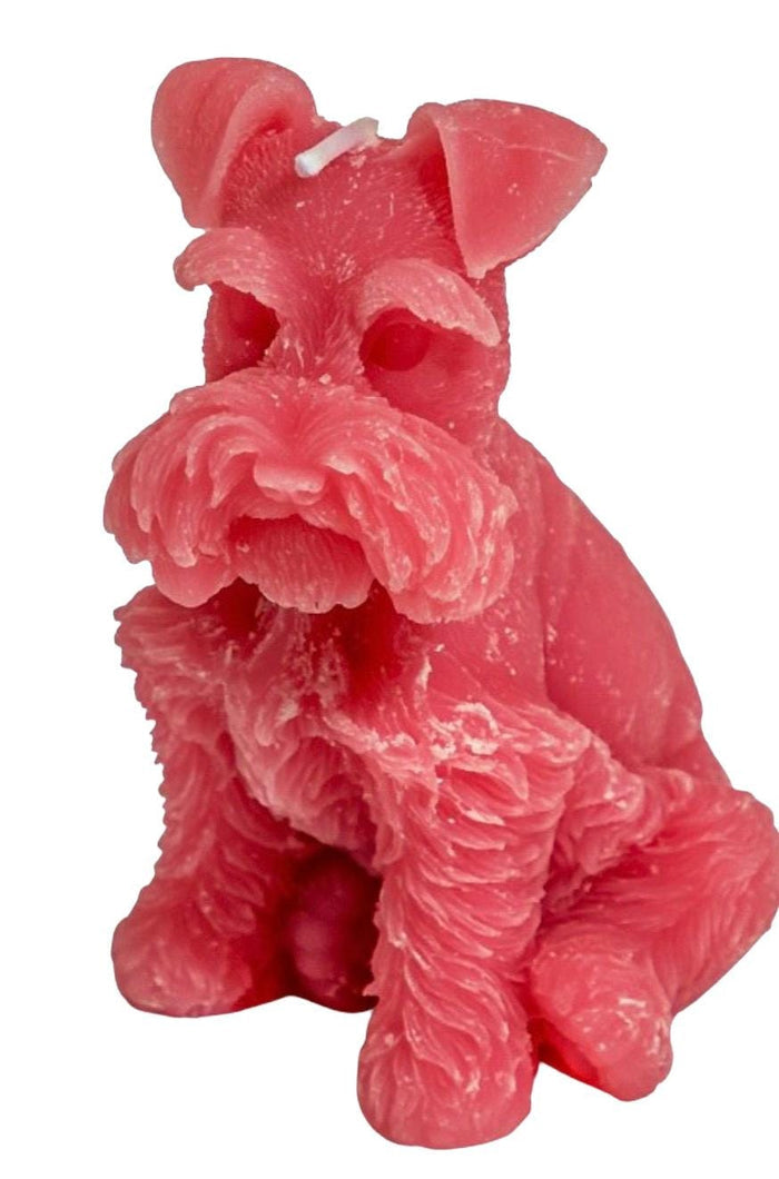 Miniature Schnauzer Candle
