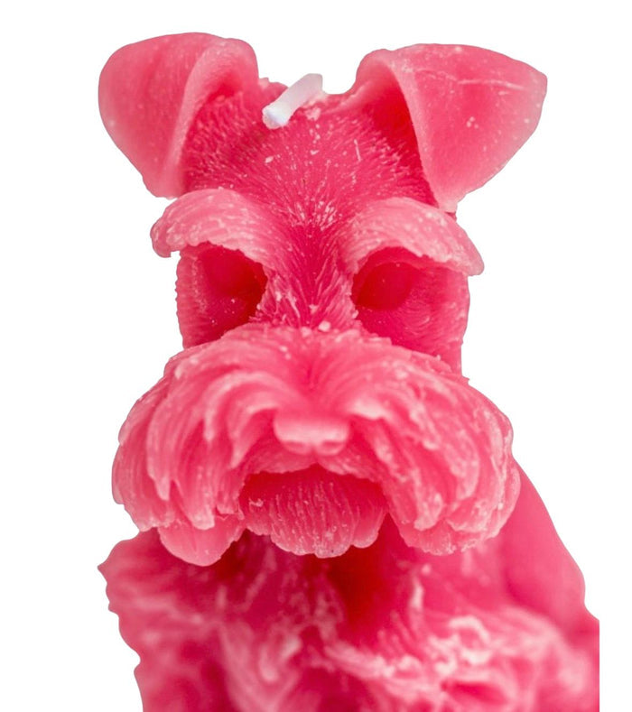 Miniature Schnauzer Candle