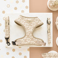 The image displays the Luxe Mocha Flower Adjustable Neck Harness, Lead & Collar Bundle by Cocopup London. This beige-colored dog accessory set features paw and flower patterns and includes an adjustable neck harness labeled "Cocopup," a matching leash, and a smaller strap. The bundled pet accessories are showcased against a beige and white floral-themed background with coordinating decor items.