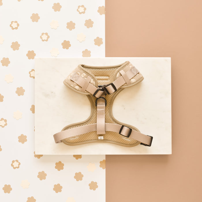 The Luxe Adjustable Neck Harness - Mocha Flower from Cocopup London, featuring sturdy straps and buckles, rests on a light marble surface. The background showcases a warm tan color with a pattern of white flowers with gold centers, enhancing the Mocha Flower LUXE aesthetic of this premium dog accessory.