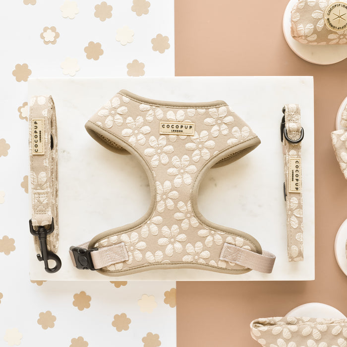 A layout on a white surface displays a beige dog harness, leash, and collar adorned with a white floral pattern. The Luxe Adjustable Neck Harness - Mocha Flower, part of Cocopup London's collection, features adjustable neck settings and elegant designs. The background complements the arrangement with light brown and white hues accentuated by matching floral decorations.