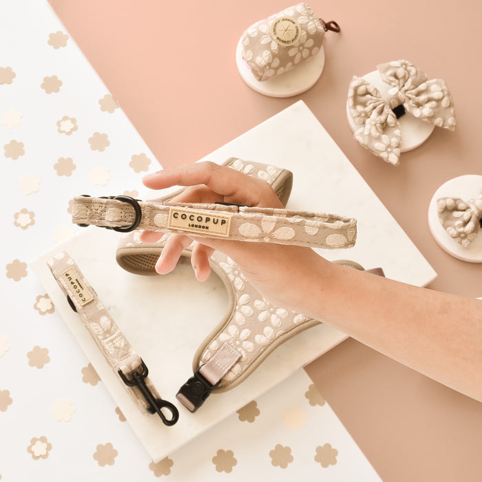 Hand holding a mocha floral Cocopup London collar, with matching pet accessories on a pink background.
