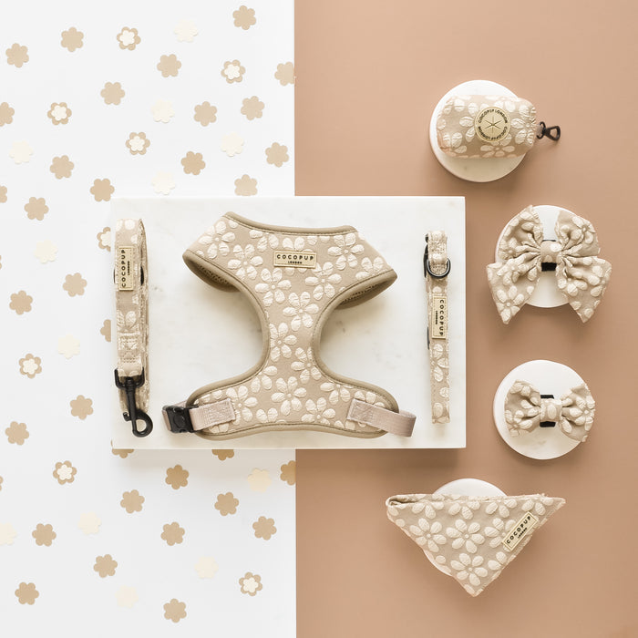 Beige dog collar with mocha floral pattern, matching harness, leash, bow, and bandana set.