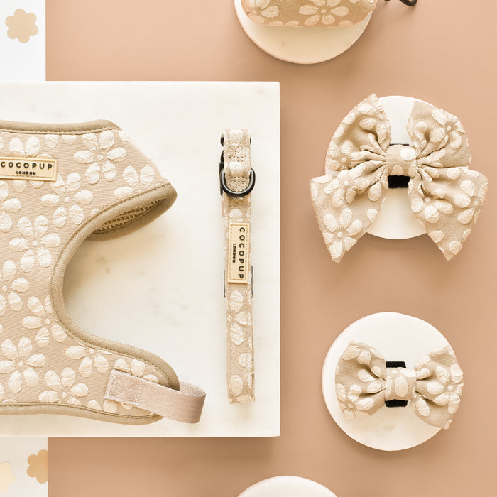 Beige adjustable collar, matching leash, and two bows, all with a white floral pattern.