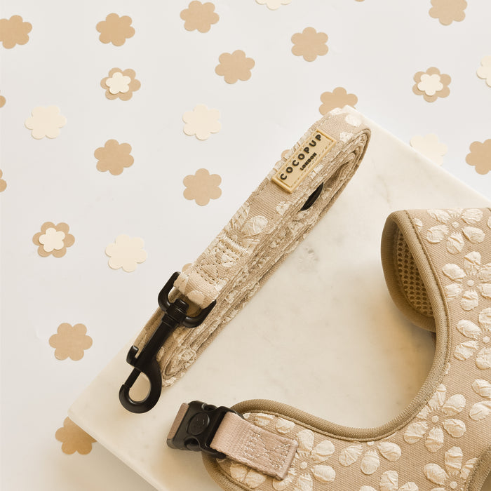 Mocha floral dog lead with gold hardware on a white surface, surrounded by beige and white flower confetti.