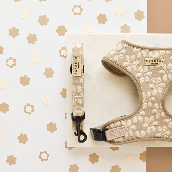 Beige dog harness with matching mocha floral leash from Cocopup London, shown on a small dog.