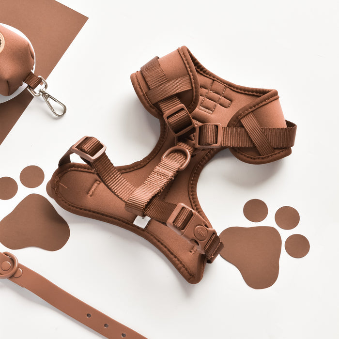 Brown adjustable neck harness with matching leash, both featuring paw print cutouts, on a white background.