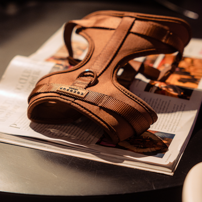 Brown adjustable neck harness by Cocopup London resting on an open magazine atop a dark surface.