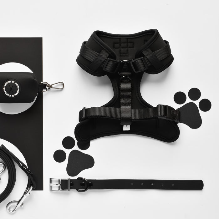 Black adjustable dog harness with matching accessories arranged on a white background.