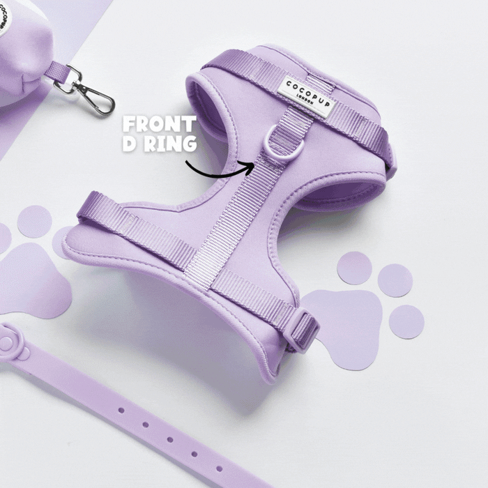Black adjustable neck harness with front D ring, matching accessories, and white paw print pattern.