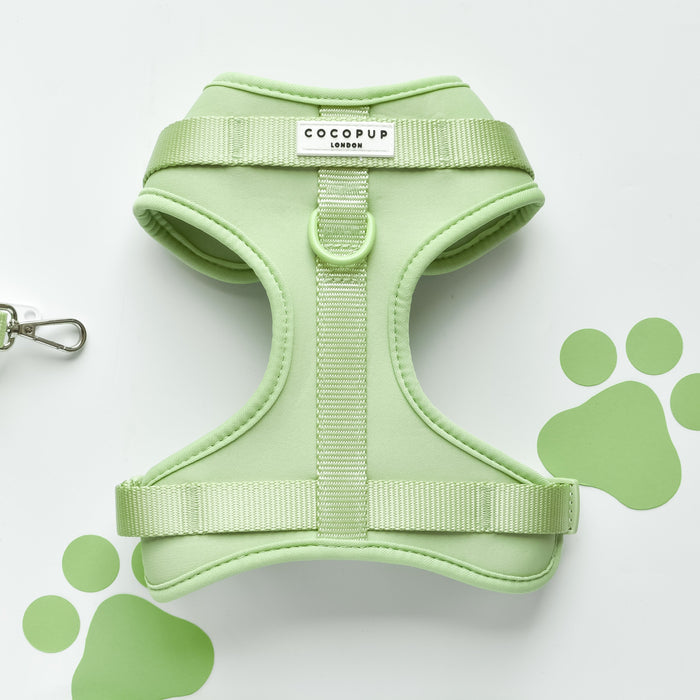 Matcha green adjustable neck harness with green paw prints and leash clip by Cocopup London.