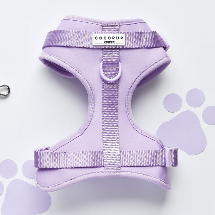 Parma Violets NAKD adjustable neck harness with purple paw prints on white, by Cocopup London.
