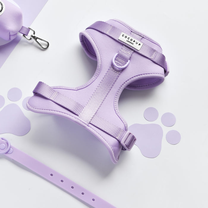 Purple adjustable harness set with collar and leash, featuring a Parma Violets print and purple paw patterns.