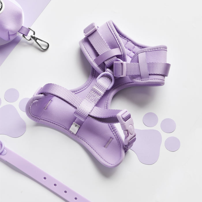 Parma Violets Cocopup London NAKD adjustable neck harness with matching accessories displayed on a white surface.
