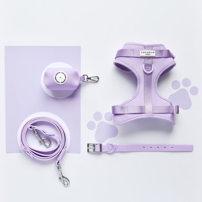 Parma Violets purple dog harness set with adjustable neck, matching leash, collar, and poop bag dispenser.