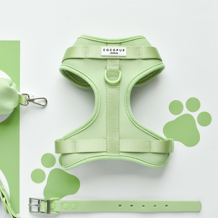 Matcha green dog harness, lead, collar, and poop bag holder set with white paw print pattern.