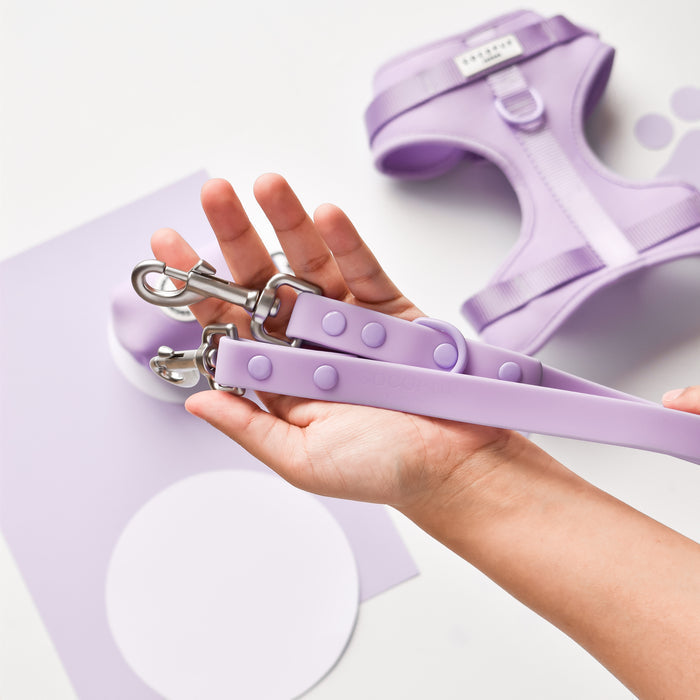 Hand holding Cocopup London NAKD Parma Violets lavender harness; matching collar lies nearby on lavender background.